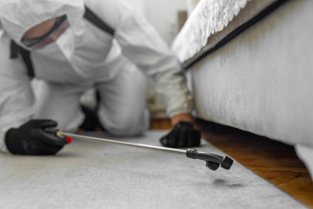 Professional Bed Bug Control technician working in Belmont County County, OH
